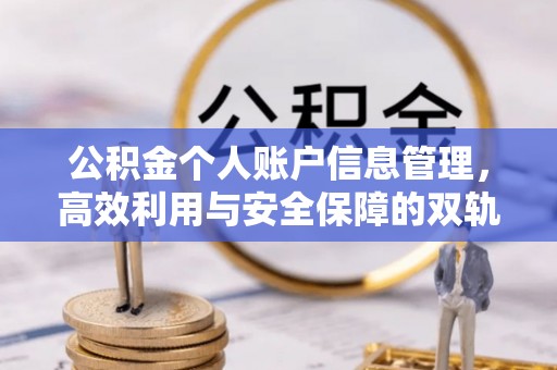 安居公积金个人账户信息管理，高效利用与安全保障的双轨并行