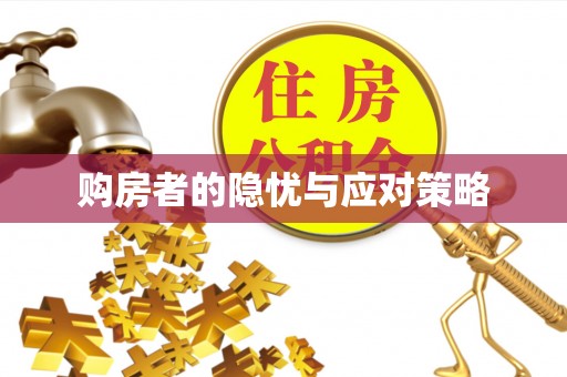 安居购房者的隐忧与应对策略