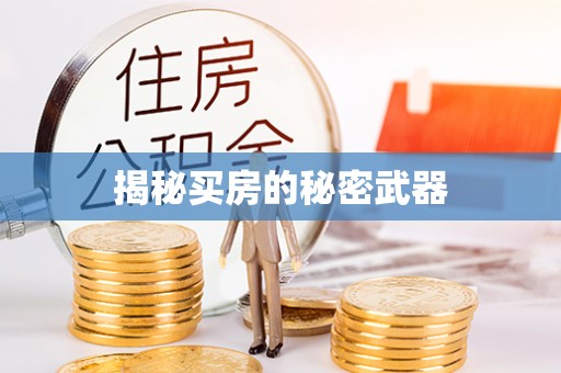 安居揭秘买房的秘密武器