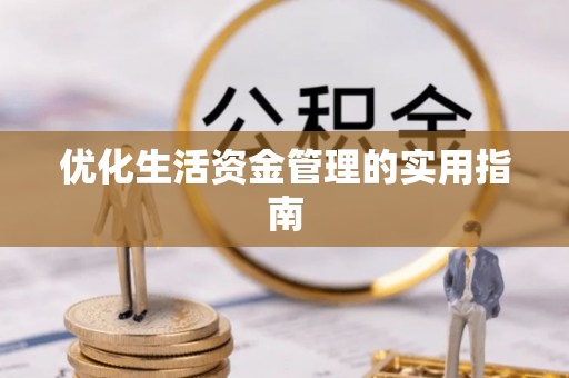 安居优化生活资金管理的实用指南