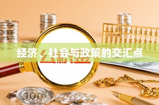 安居经济、社会与政策的交汇点