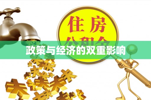安居政策与经济的双重影响