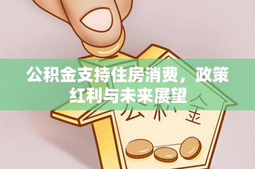 安居公积金支持住房消费，政策红利与未来展望
