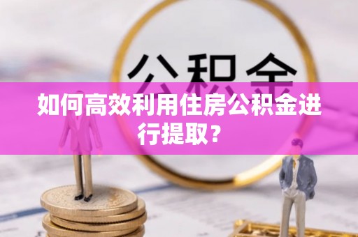 安居如何高效利用住房公积金进行提取？