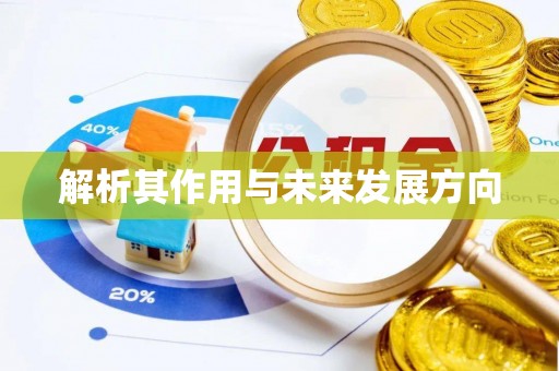 安居解析其作用与未来发展方向