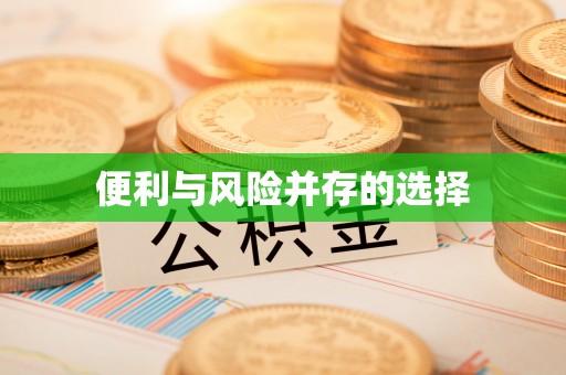 安居便利与风险并存的选择
